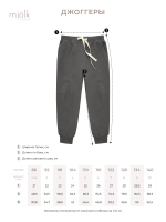 Джоггеры Mjölk Steel Grey