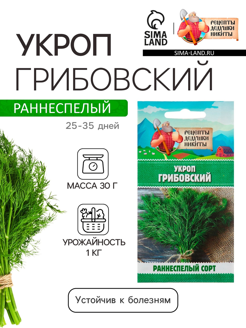 Семена Укроп "Грибовский", 2 г