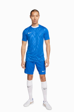 Футболка Nike Dri-FIT Challenge V