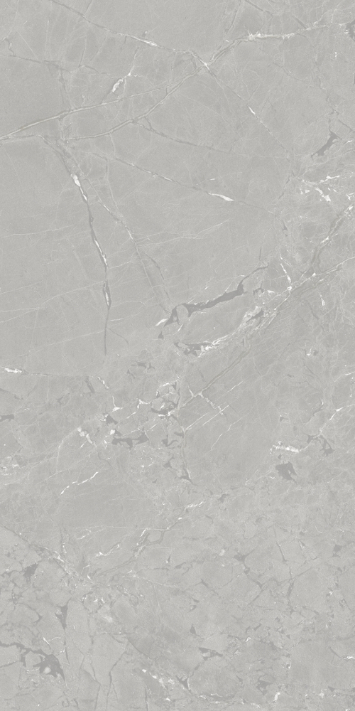 AZUVI NEEKO GREY 60x120