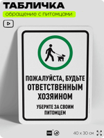 Табличка "Будьте ответственным хозяином, уберите за своим питомцем" на дверь и забор, для двора, дома, подъезда, 40х30 см, Silver Plane x Айдентика Технолоджи