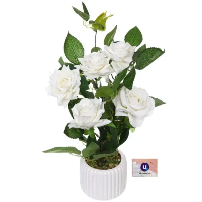 Цветочная композиция «Розовый куст» 43см в горшке, цвет белый