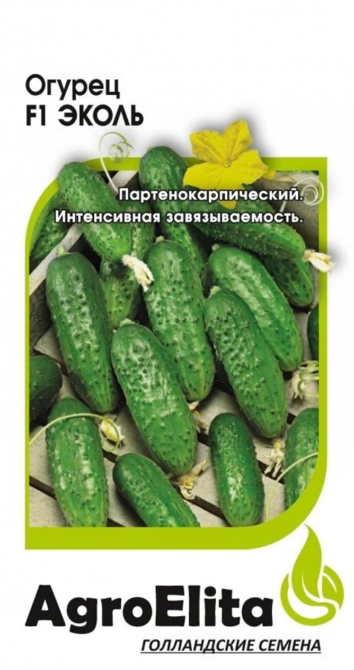 Огурец Эколь F1