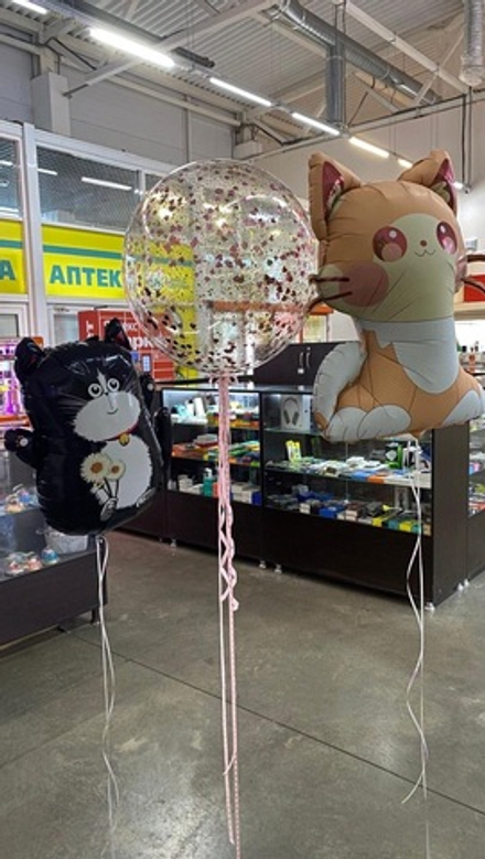 Набор котята