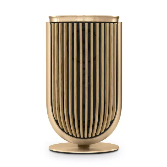 Bang & Olufsen Beolab 8 Gold Tone/Oak, TS