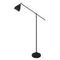 Торшер Arte Lamp Braccio A2054PN-1BK