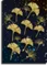 Постер "Золотые цветы"