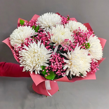 Букет из 7 одноголовых хризантем сорта "Антонов" и малиновой гипсофилы
