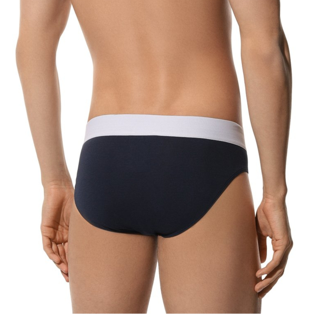 Мужские трусы брифы синие набор 2 в 1 Bikkembergs ELEGANCE BKK1USP10BI/2