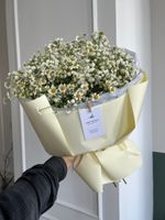 Букет сборный из гипсофилы и ромашки