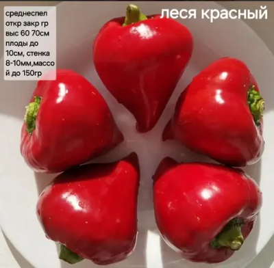 ЛЕСЯ КРАСНЫЙ СЛАДКИЙ