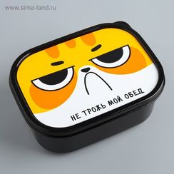 Yemək qabı \ Ланч-бокс «Не трожь мой обед», 500 мл