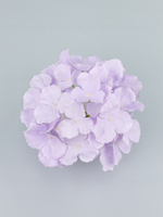 Гортензия Аннабель (голова)