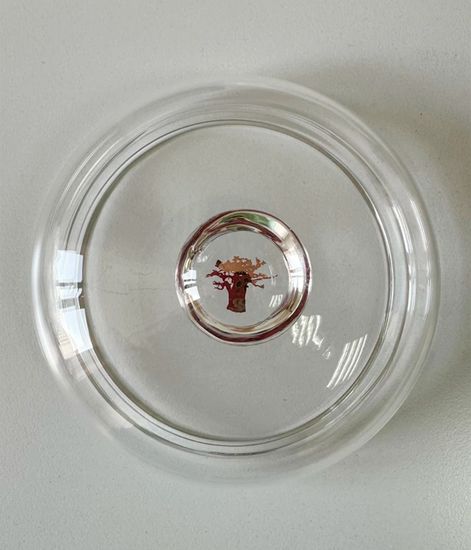 Dome, крышка для свечи Max10 стеклянная, Baobab Collection