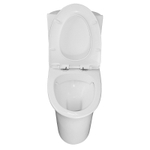 Унитаз моноблок Azario Luna 770x390x710 напольный, горизонтальный слив, сиденье дюропласт микролифт (AZ-1037)