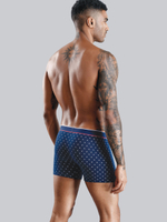 Классические боксеры