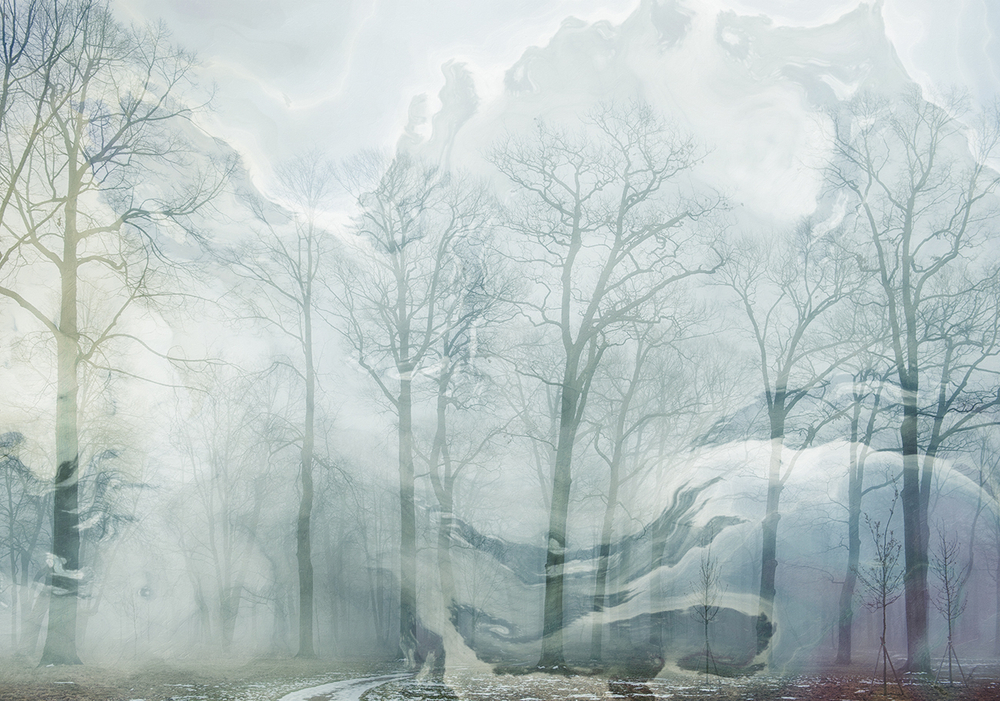 Коллекция ARBRE