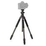 Штатив Benro Induro BICLT203B2 Classic 203 шаровой головой