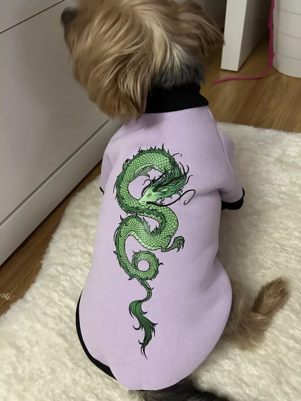 Толстовка для собак и кошек