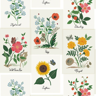 Rifle Paper Co. Second Edition