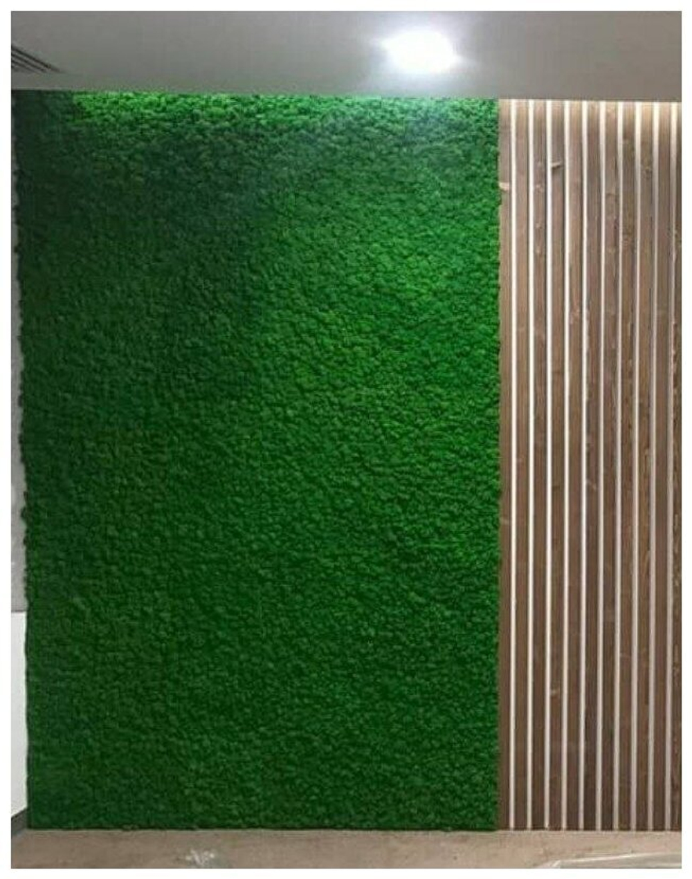 Панно из мха Ягель