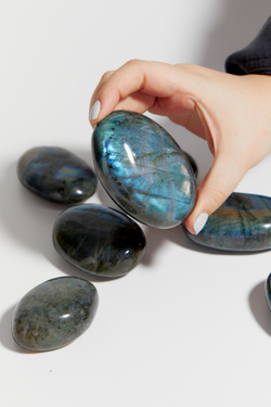 Лабрадор палмстоун S