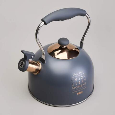 Чайник 2,5л нерж со свистком, индукция, 914-161