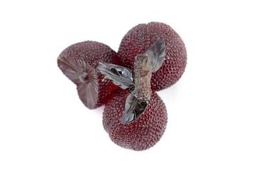 Figurka herbaciana zmieniająca kolor „Yamberi Voskovnitsa red”