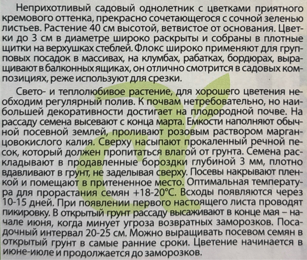 Флокс Друммонда Изабеллина 0,1 г СМЦ-273