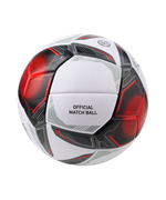 Мяч футбольный League Evolution Pro №5, белый