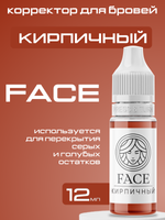 Пигмент FACE корректор "Кирпичный"