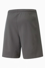 Шорты Puma teamRISE