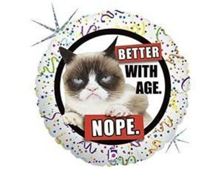 Б 18" КРУГ BETTER WITH AGE Сердитая Кошка