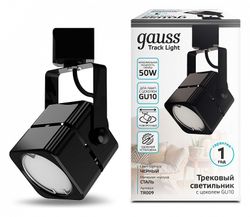 Светильник на штанге Gauss TR TR009