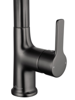 Смеситель для раковины с выдвижным изливом WONZON & WOGHAND, Темный графит (WW-FE01L212-BGG)