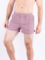 Трусы мужские, шорты укороченные 2 шт SWAN Style-2