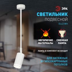 Светильник настенно-потолочный спот ЭРА OL43 WH MR16 GU10 IP20 белый