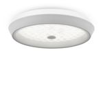 Потолочный светильник Freya FR10012CL-L24W