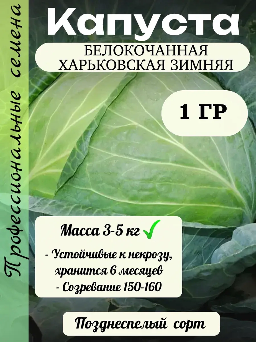 Семена капуста белокочанная Харьковская зимняя 1 гр