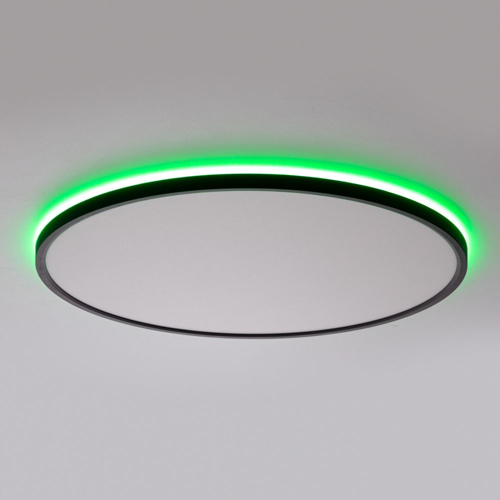 Citilux NORMA CL749501 LED RGB Светильник с пультом Чёрный