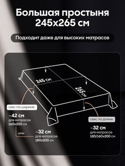 Комплект постельного белья Однотонный Сатин Премиум «Жемчужная дымка»