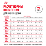 Royal Canin Maxi Puppy Влажный корм для щенков крупных пород в возрасте до 15 месяцев 100г