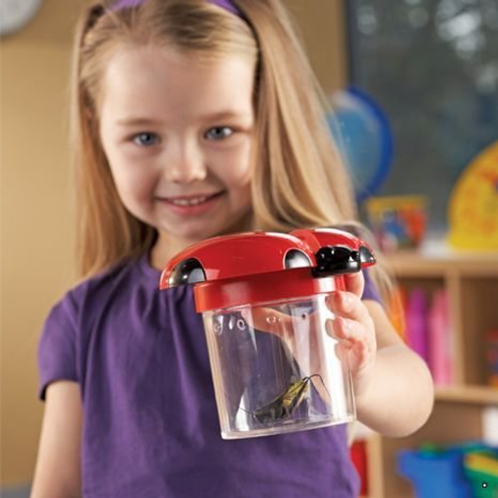 Набор баночек Божья коровка, 6 шт