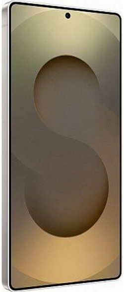 Samsung Galaxy S25 Ultra 12/512Gb Global Titanium Gray