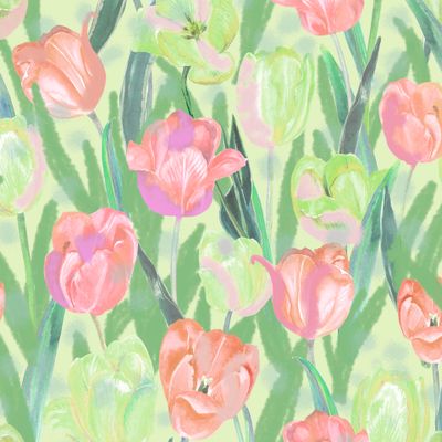 Tulips 2-3