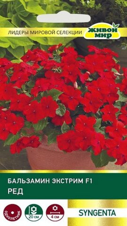 Бaльзaмин "ЖМ. Экcтpим F1 Рeд" 10шт, Нидерланды.