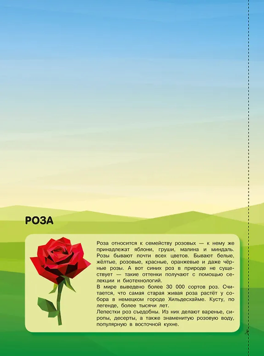 Магия цветов