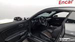 Ford Mustang Coupe (06.2020)