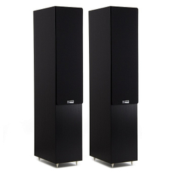 Radiotehnika Vita 2.05 Black Ash полочная профессиональная акустическая система (пара)