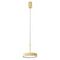 Подвесной светодиодный светильник Favourite Piller 4507-1P